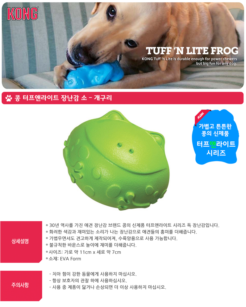 콩_터프_앤_라이트_장난감-개구리_(소)_