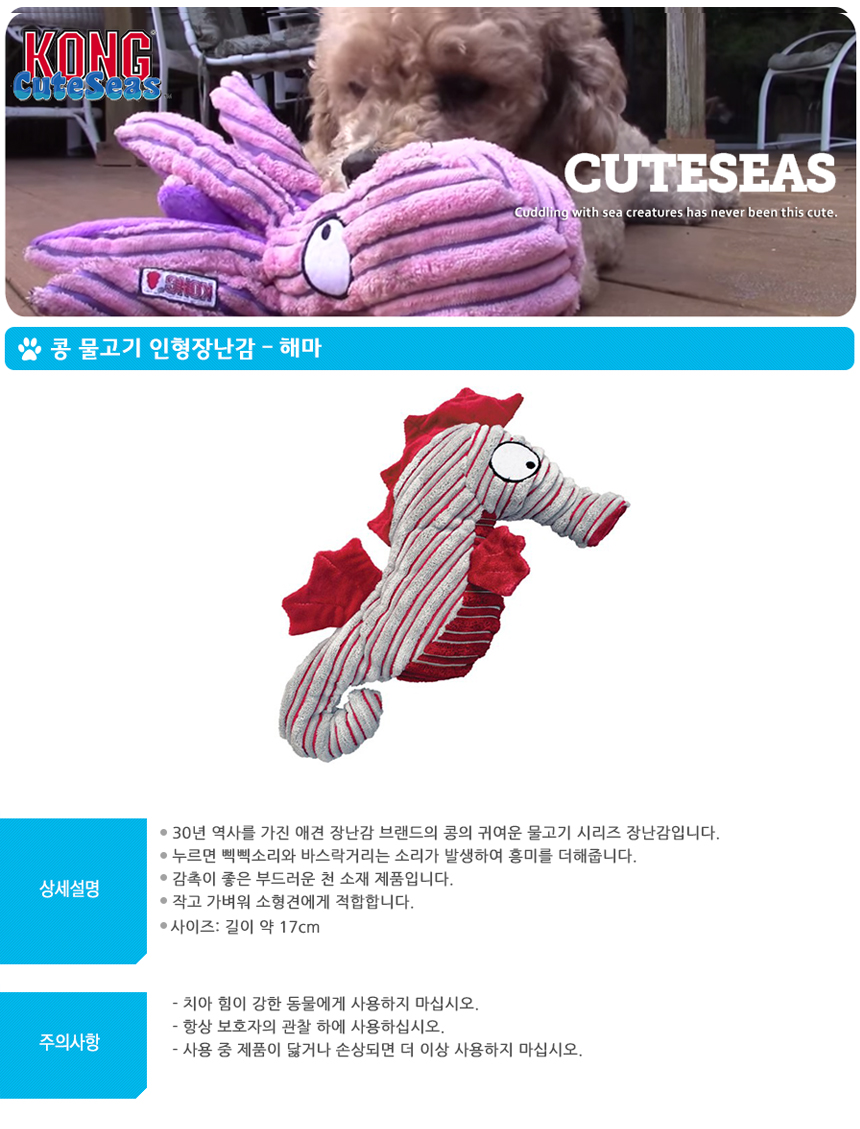 콩_물고기_인형_장난감-해마